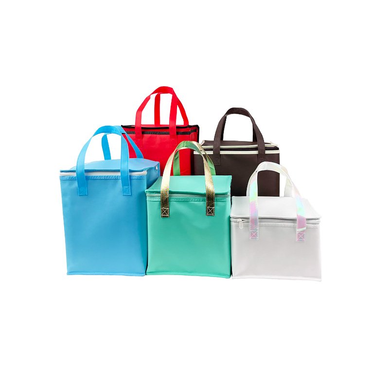 1-reusable-grocery-cooler-bags