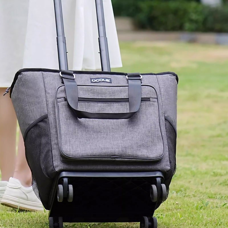 2-collapsible-cooler-bags-with-wheels