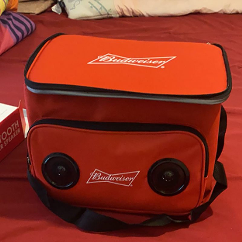 cooler-bag-with-built-in-speakers-(2)