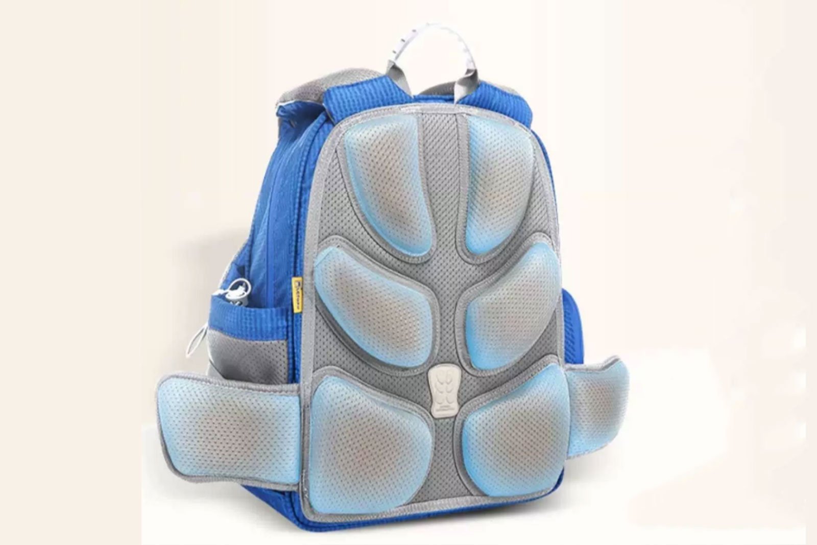 Protecting-the-Spine