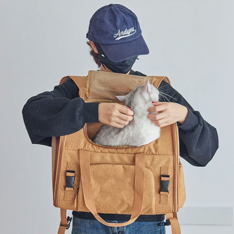 cat-hiking-backpack