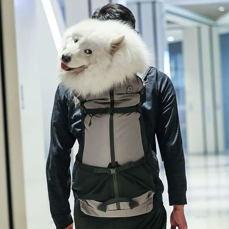 dog-hiking-backpack