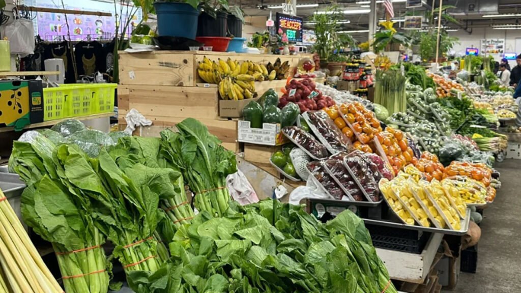 Shopping-Bag-Types-Case-Studies