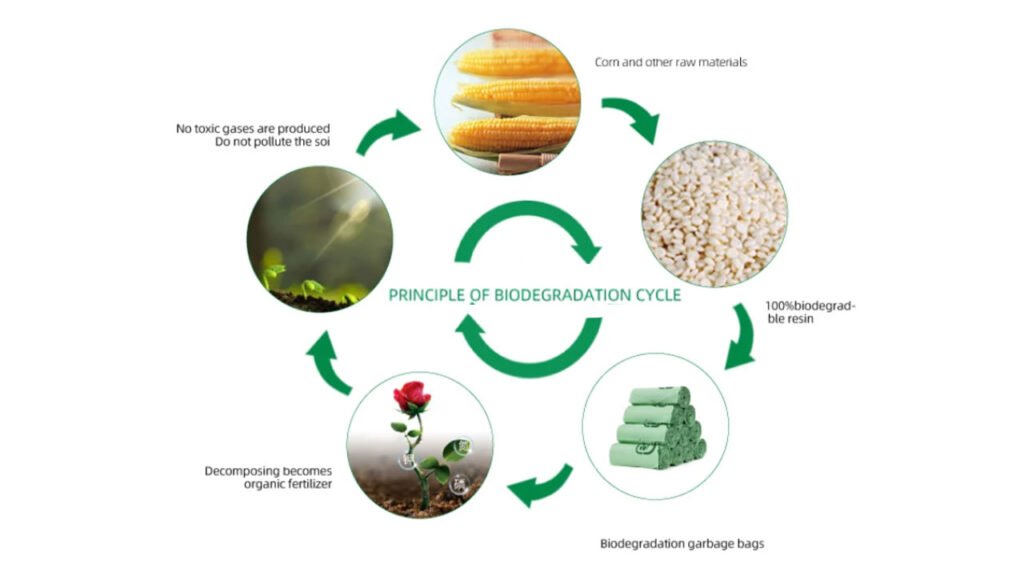 compostable-shopping-bag